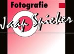 Naar startpagina